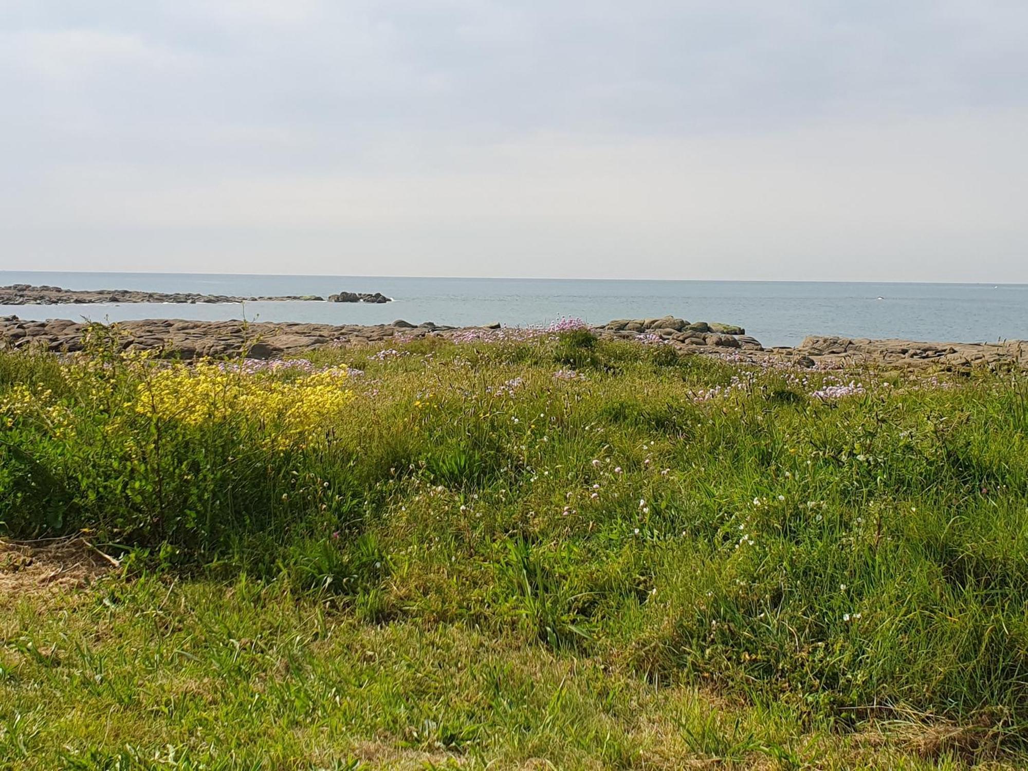 Le Relais Du Phare Ξενοδοχείο Gatteville-le-Phare Εξωτερικό φωτογραφία